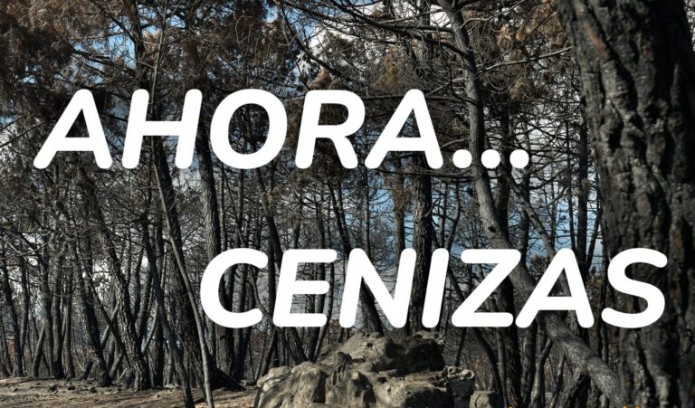 cartel02-ahora cenizas