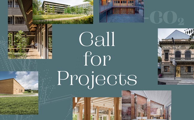 Call-for-projects_V_DESCARBONIZANDO